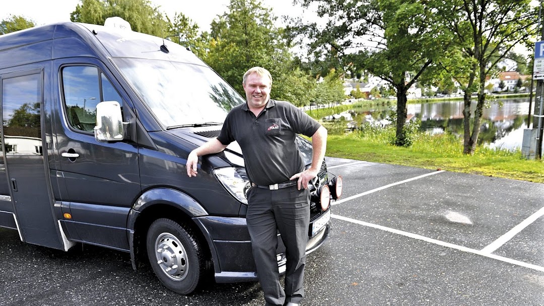 Tåkelagt skog med mørkegrønne grantrær som stiger opp gjennom disen